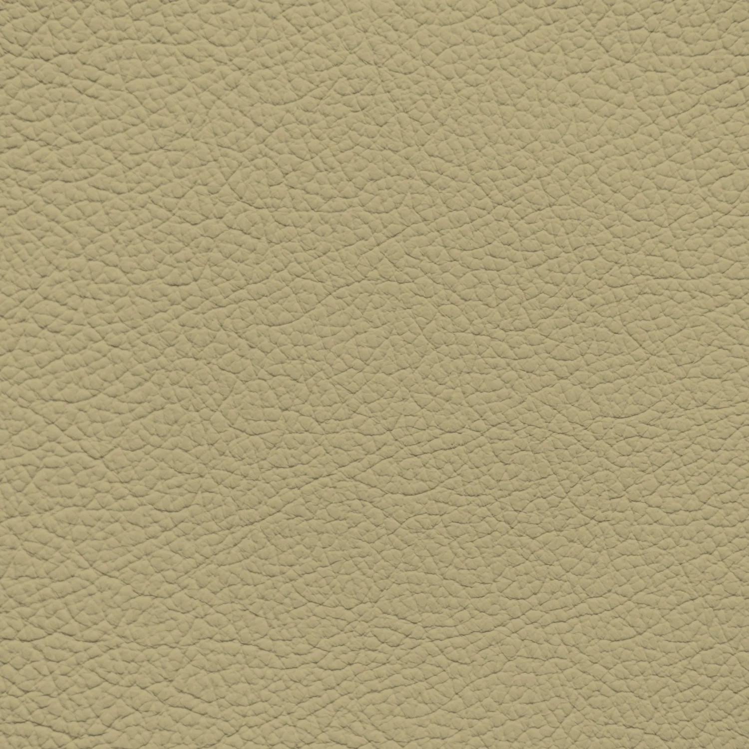Genesis Light Ivory Leather Dye