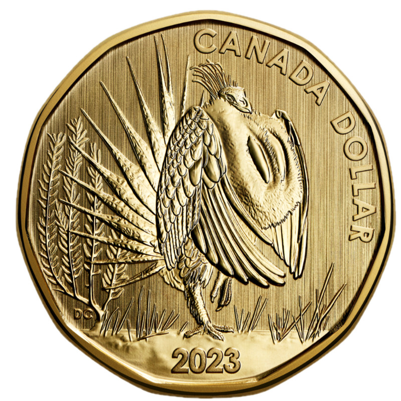 🇨🇦 Canada Birds $1 Dollar Coin Loonie, Fauna, Wildlife, Specimen GROUSE, 2023
