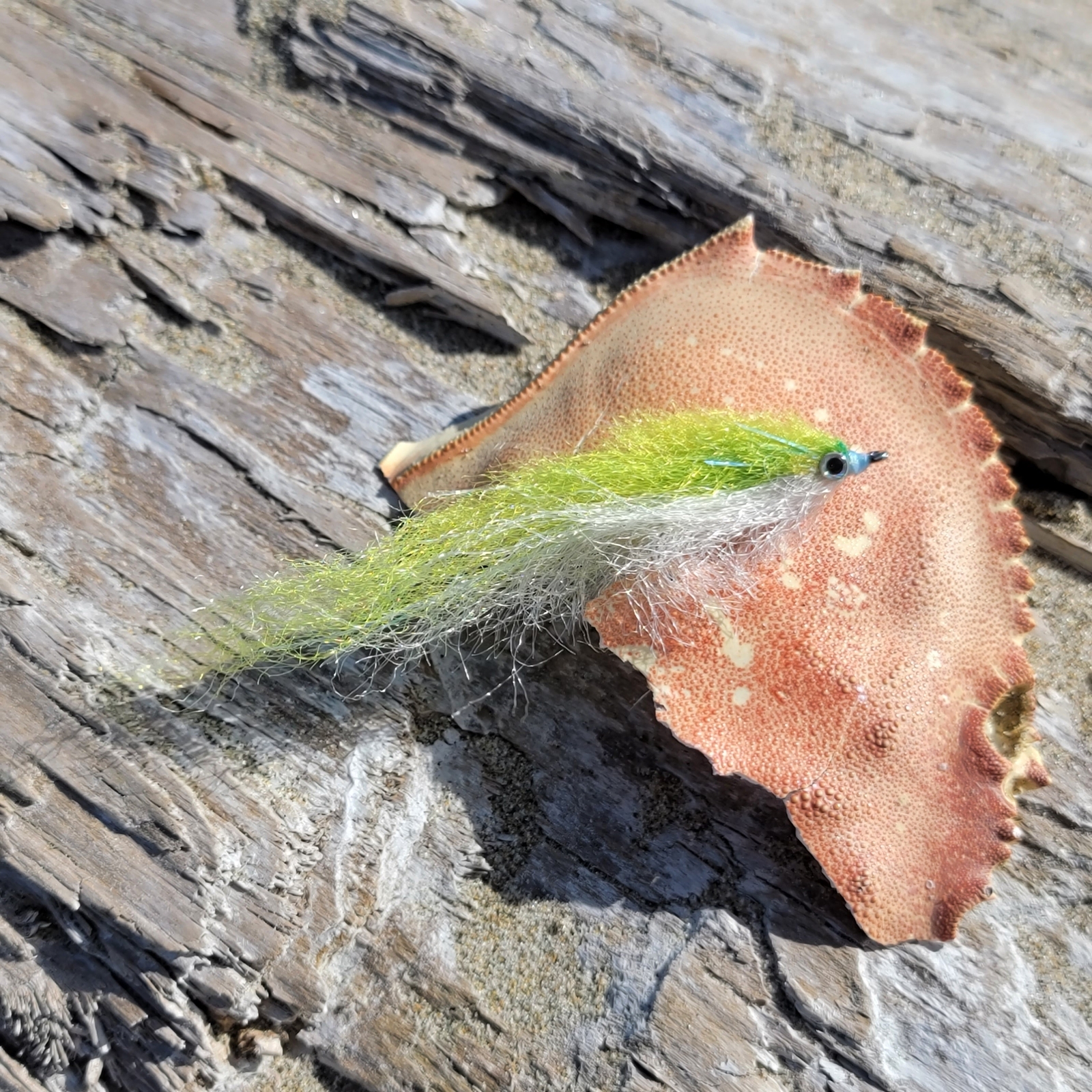 Salty Baitfish Chartreuse | Size 4