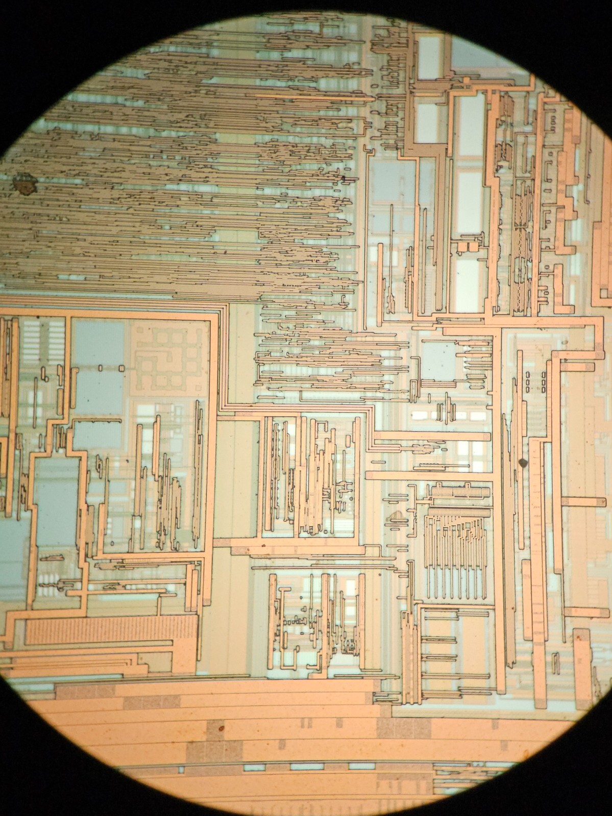microscope slides