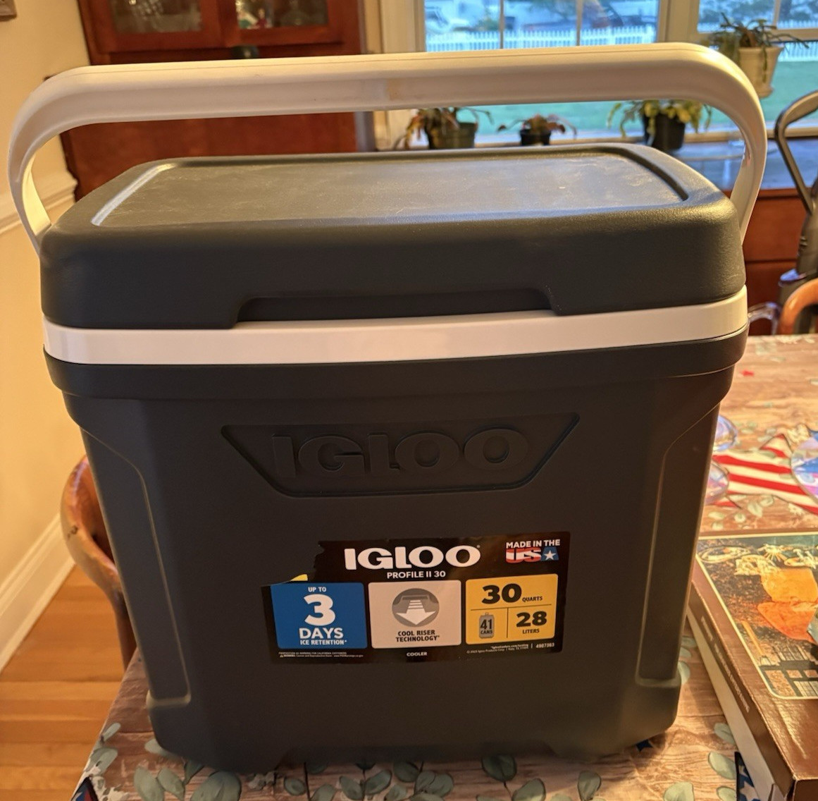 Igloo Profile II 30 Qt Cooler – Summer Camping Tailgating Beach Trips – USA Made