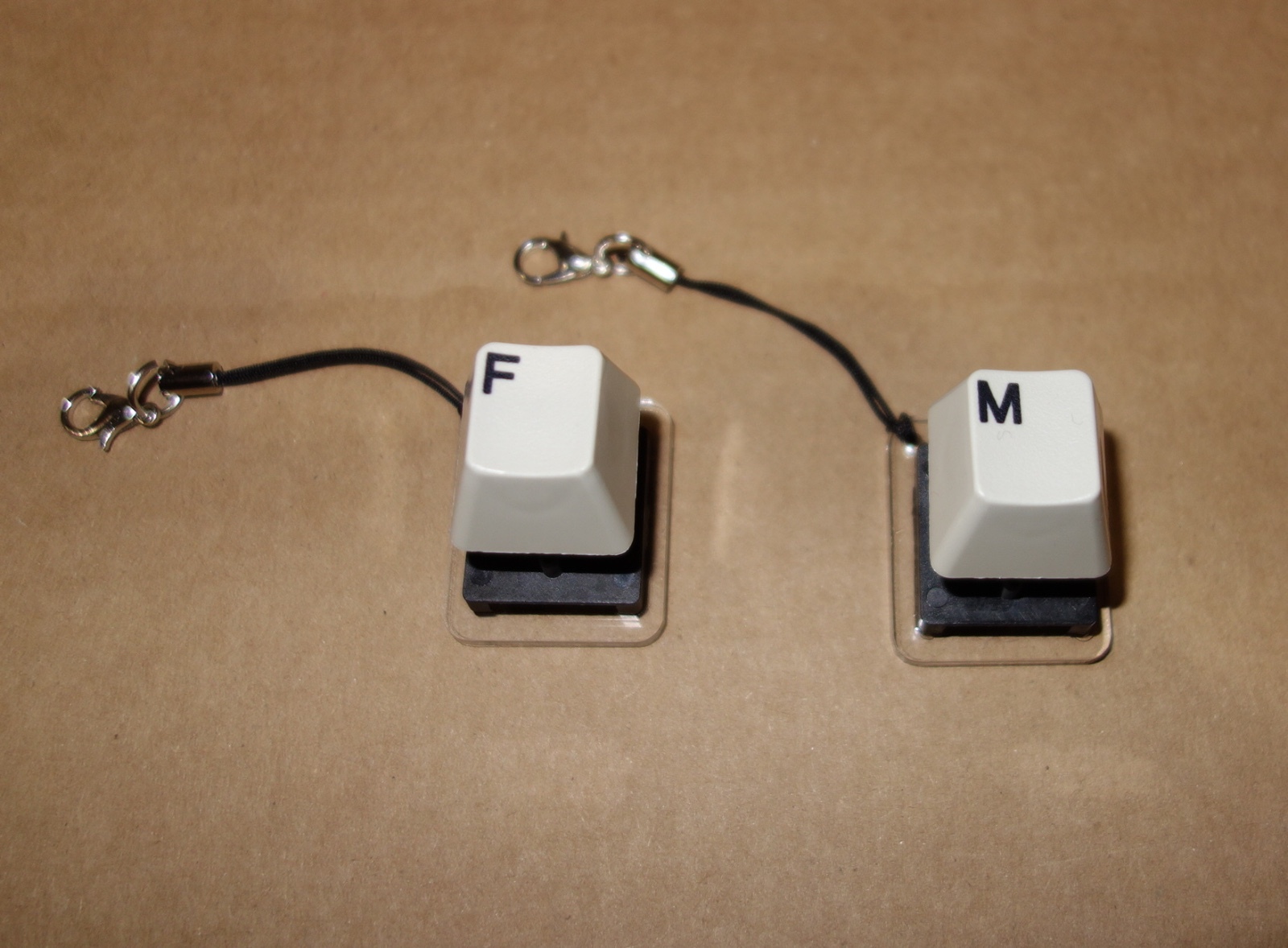 IBM Model F + M Buckling Spring - KEYCHAINS Clicky Keyboard Switch Tester AT XT
