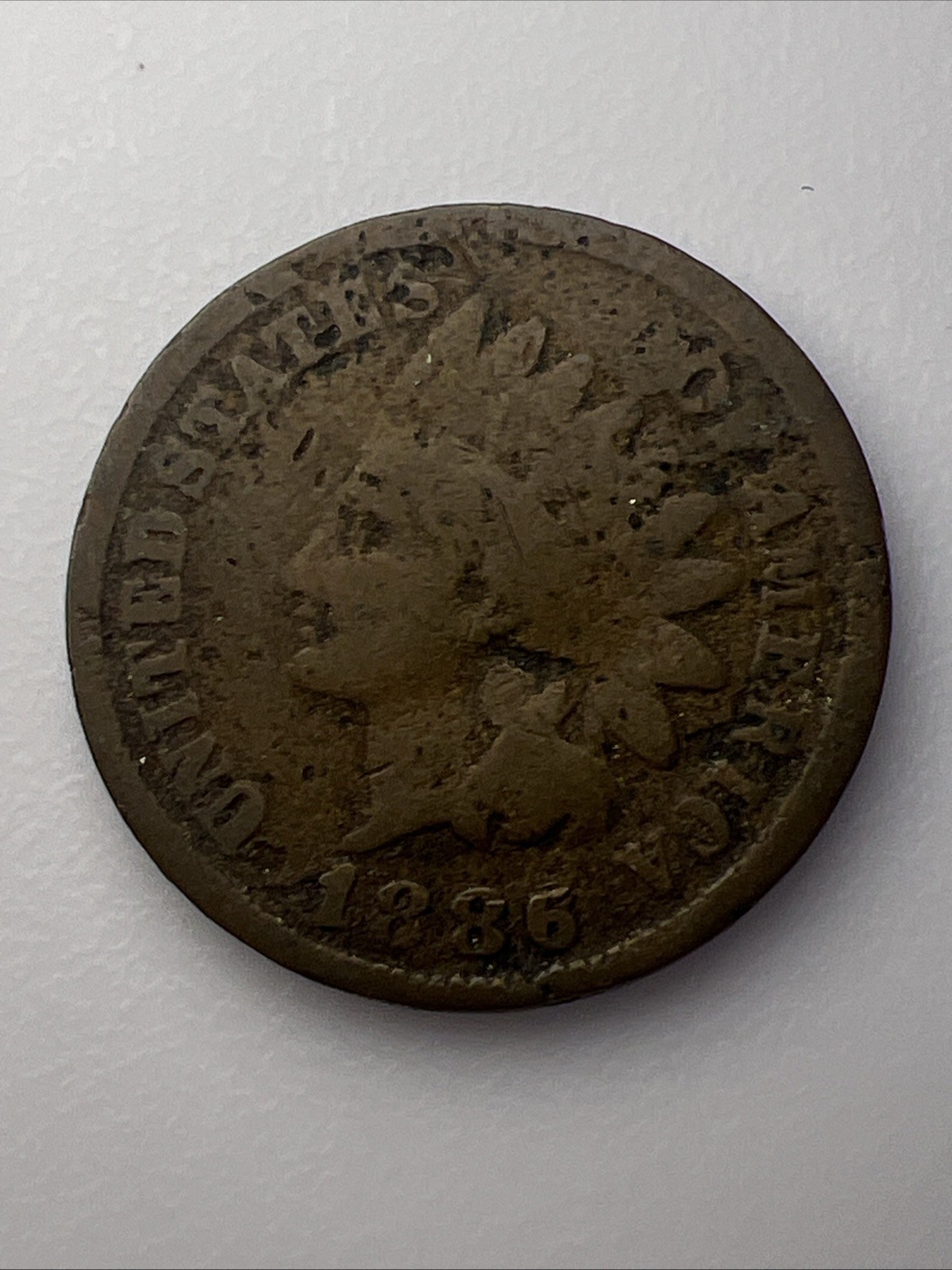 1886 Indian Head Cent #1292