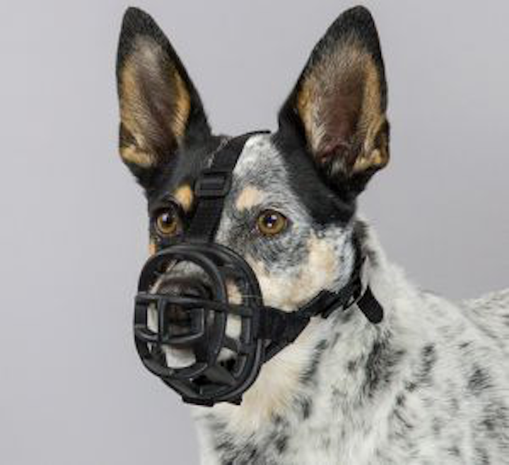 Baskerville Ultra Dog Comfort Muzzle Size 2 Small/Medium