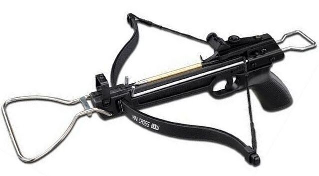 Crossbow Pistol 80lb Draw Metal + Extra Arrows Hunting Small Game Archery Bows