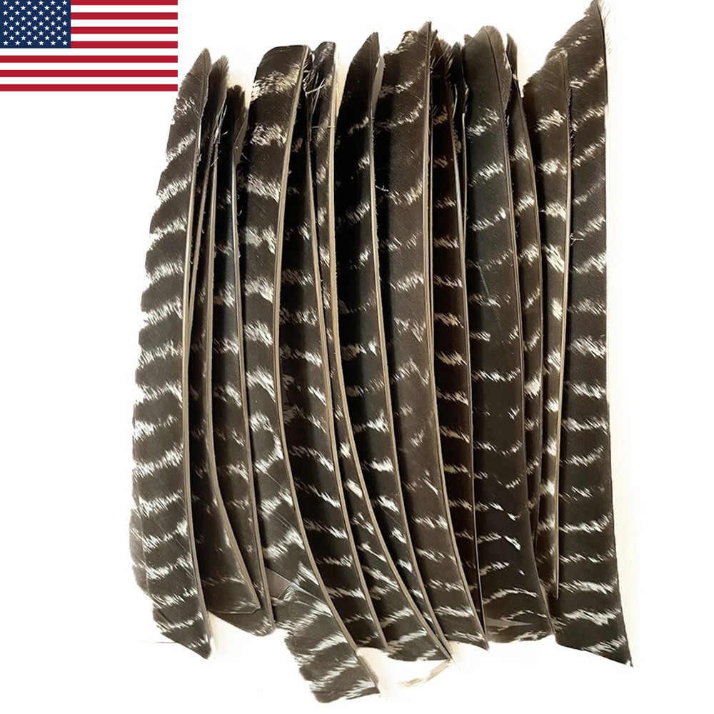 50X Full Length Arrow Feathers Fletches Turkey Fletching Shaft DIY Archery RW LW