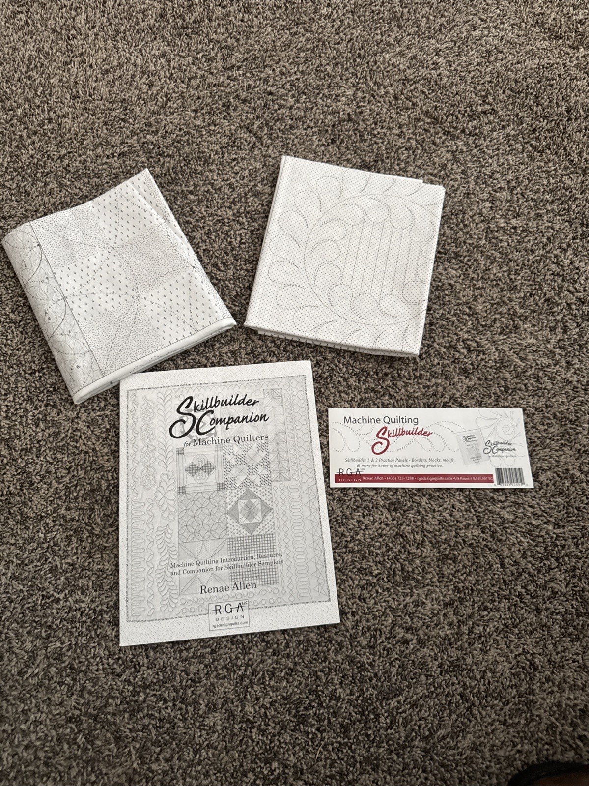 Skillbuilder Companion for Machine Quilters Renae Allen