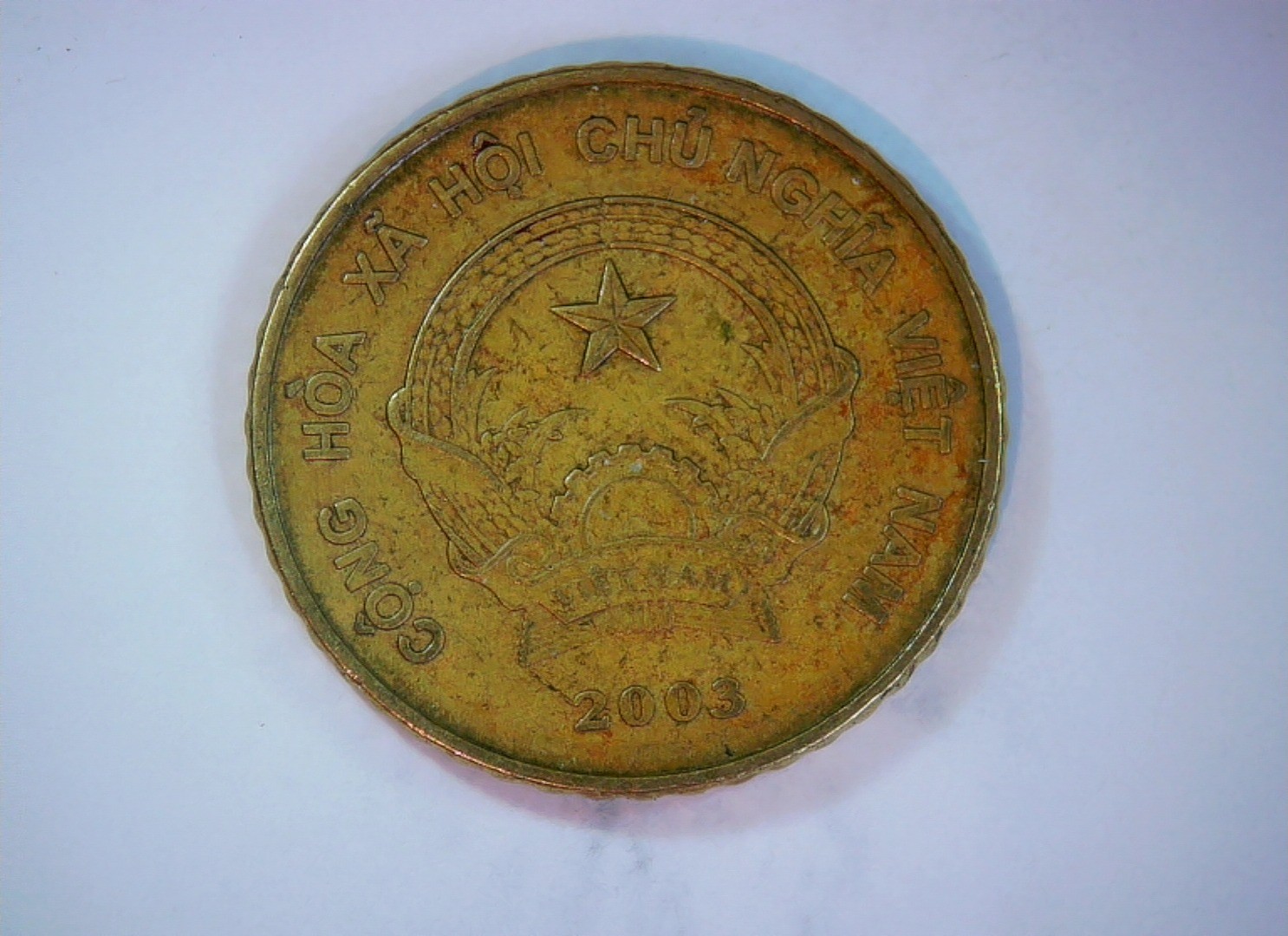Vietnam 2003 5000 Dong Vietnam 5000 Dong (Temple/Pagoda type) Coin