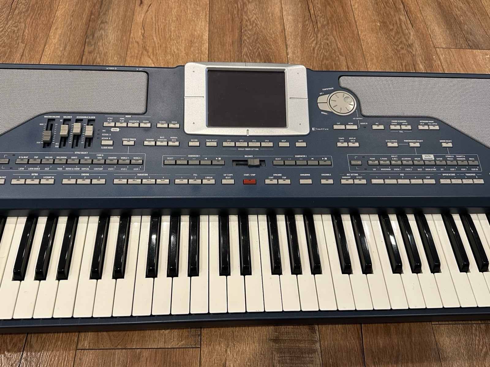 Korg PA-800 Professional Arranger..........#2