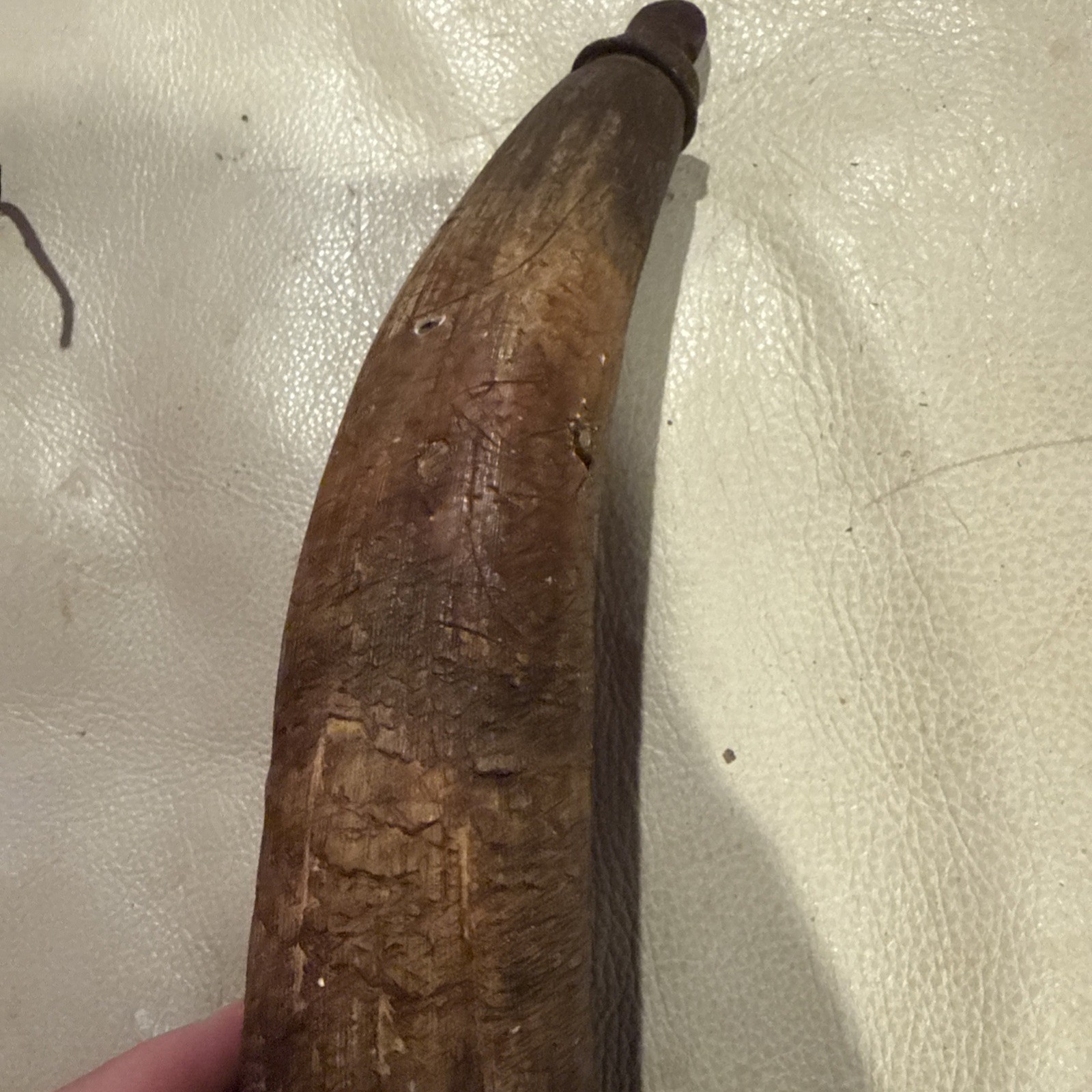 Vintage Powder Horn