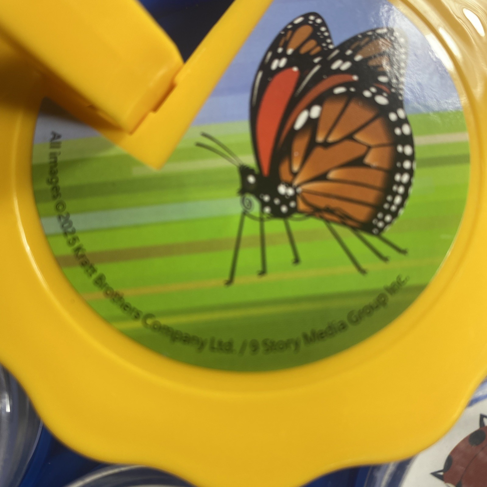 All Images Bug Viewing Kit By Kratt Brothers Ltd.