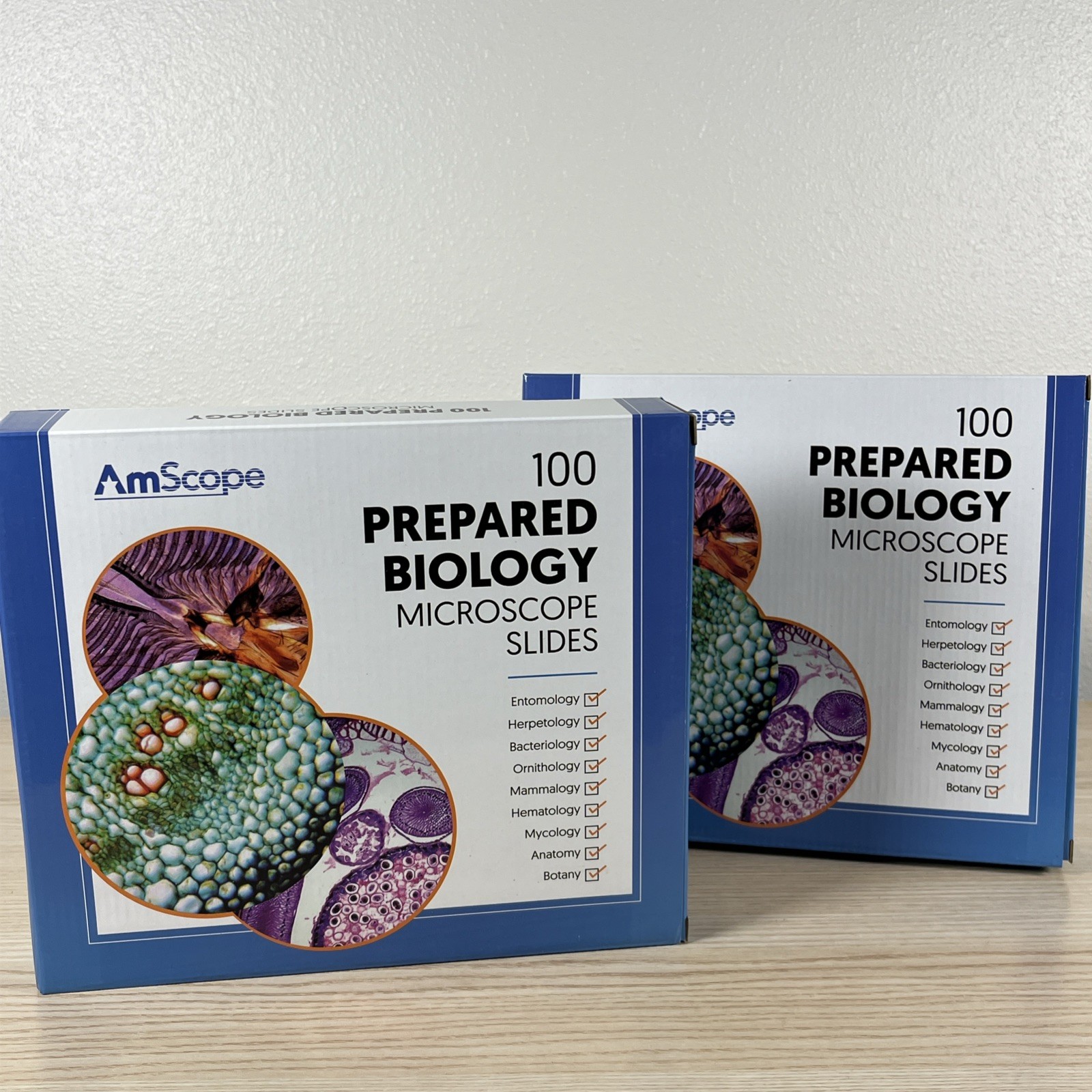 AmScope PS100 Homeschool Biology Prepared Microscope Slides - Set A + B - 200