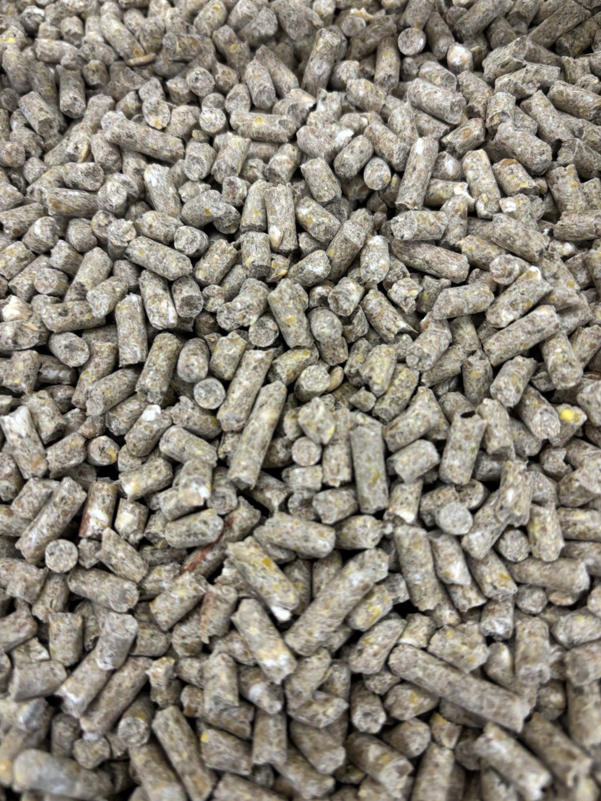 5LB 20% Protein Laying Pellets. Made with Your Laying Hen In Mind. Poultry Food