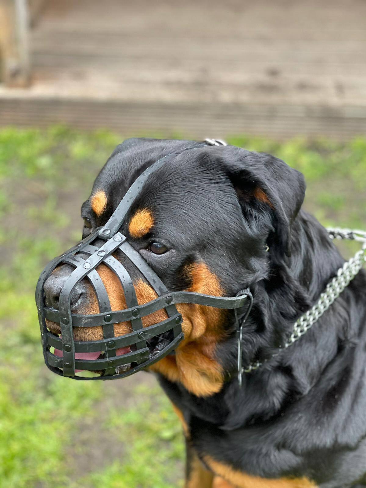 Biothane Dog Muzzle | Training & Behaviour | Strong & Waterproof | Rottweiler