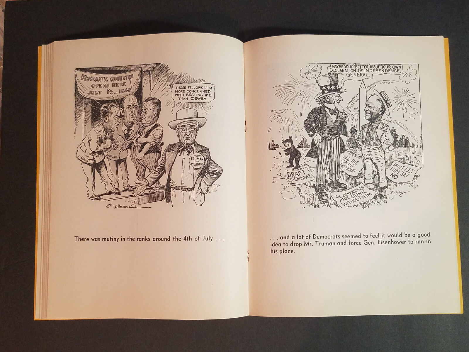 The Campaign of ’48 in Washington Star Cartoons