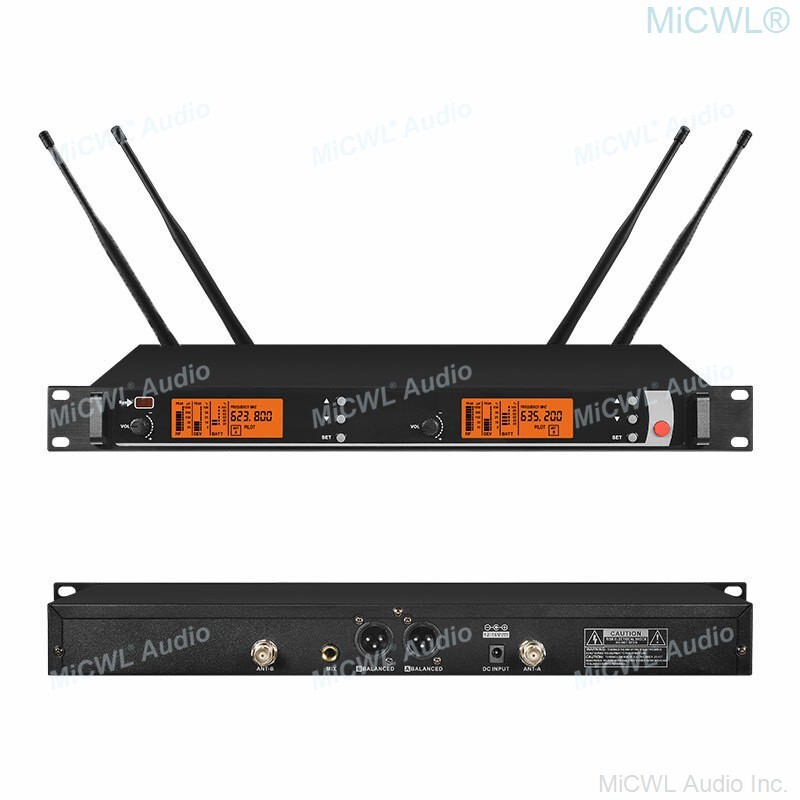 Pro UR24D Digital Wireless Microphone 2 SKM9000 Mic DJ Karaoke UHF System