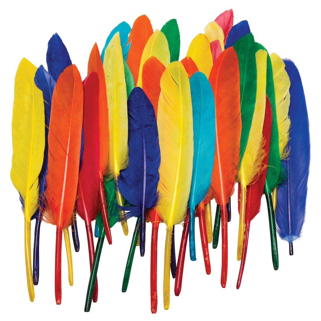 DUCK QUILLS CLASSPACK