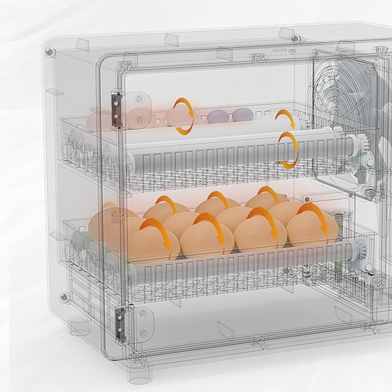 24 Eggs Incubator Temperature Control Automatic Digital Chicken Egg Hatcher 50W
