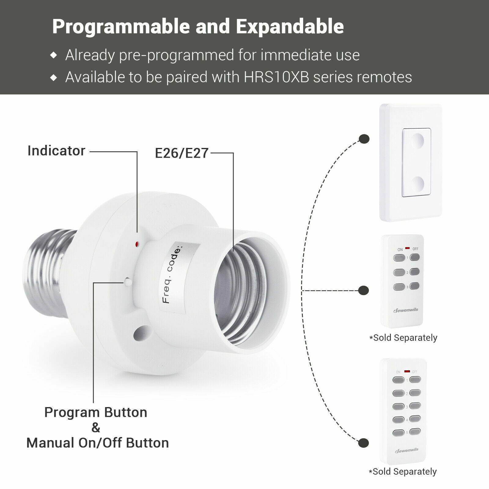 DEWENWILS Wireless Remote Light Bulb Socket Remote Control Light Wall Switch