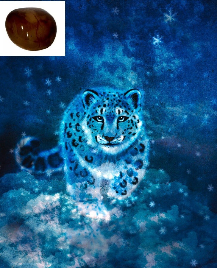 Leopard Spirit Pearl a Mythological Stone got from Lowo Cave