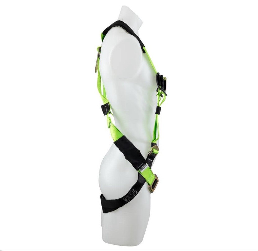 Werner (Universal Sized) Harness Tree/Climbing/Roofing Safety Harness System