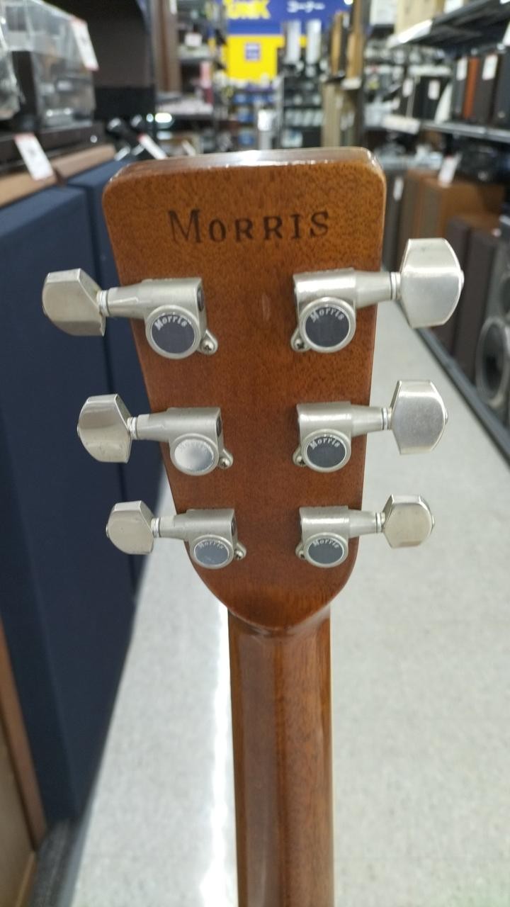 MORRIS MD-510 Acoustic