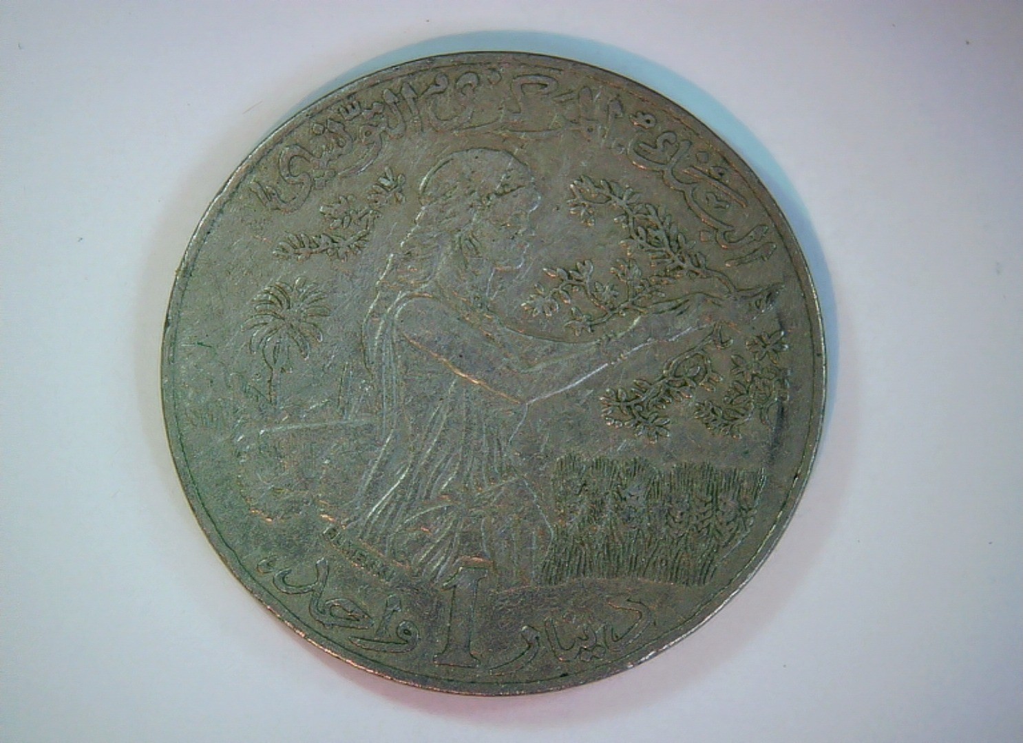 Algeria 1988 1 Dinar Coin
