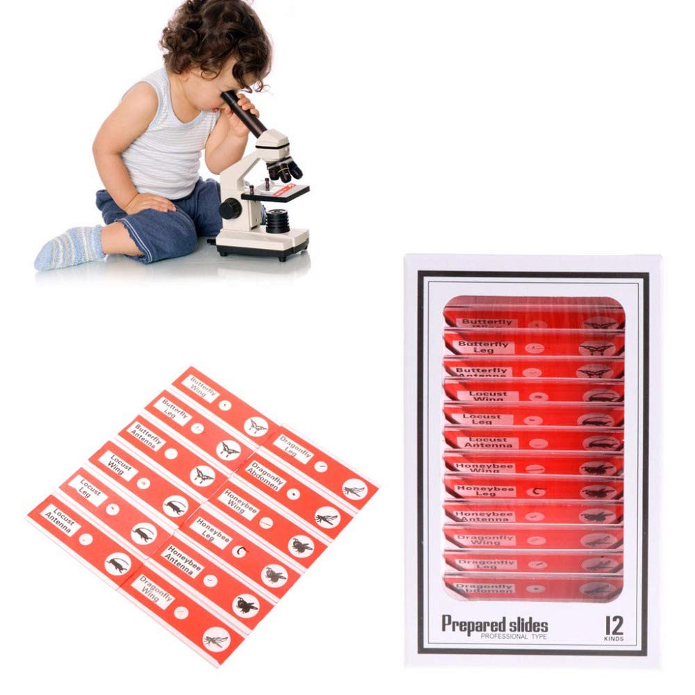 Prepared Microscope Slides, 48pcs Plastic Animals Insects Plants Flowers Sample