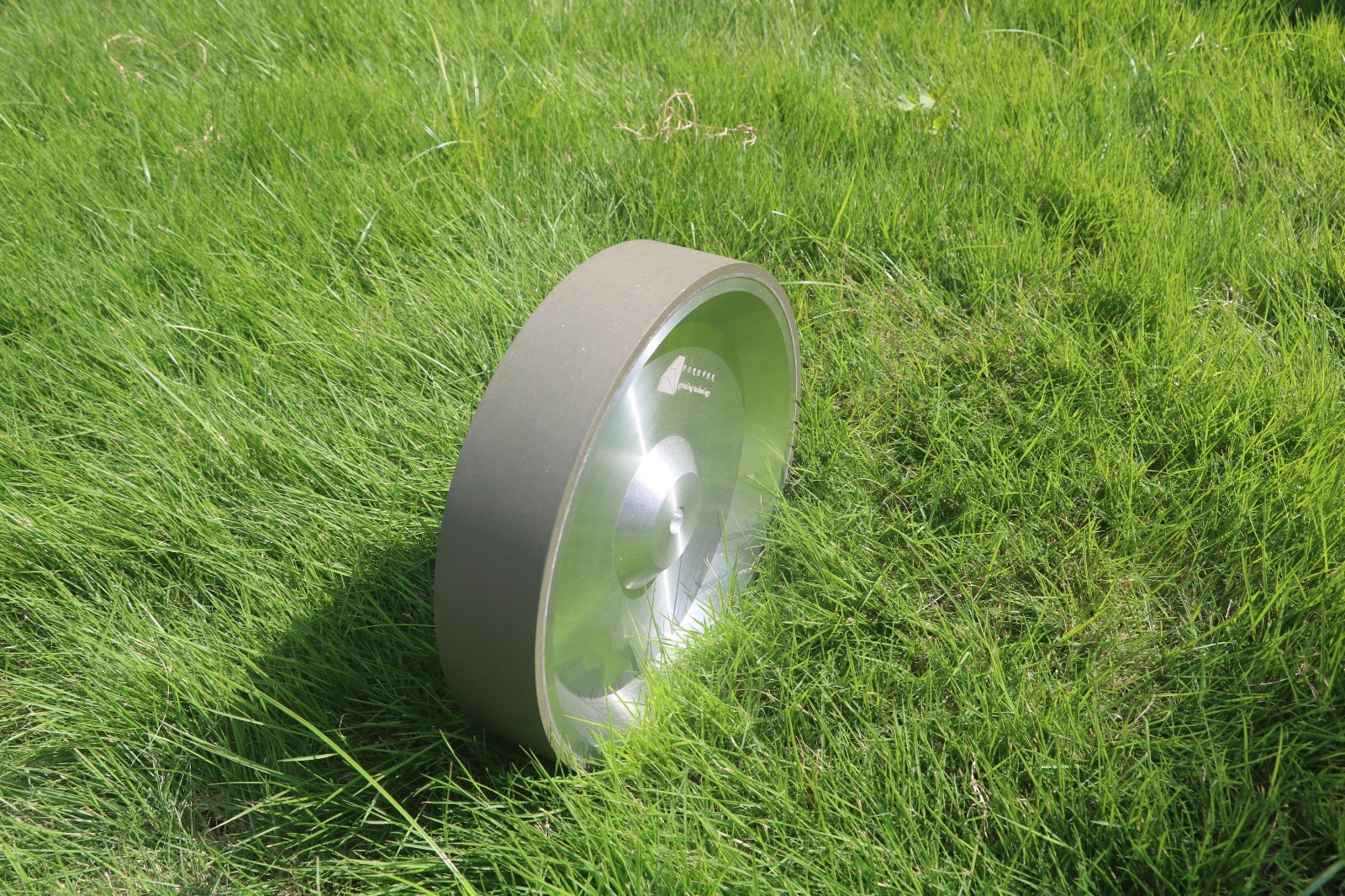 Resin Diamond Wheel 250mm for Tormek T8/T7 for Sharpening and Polishing Knives
