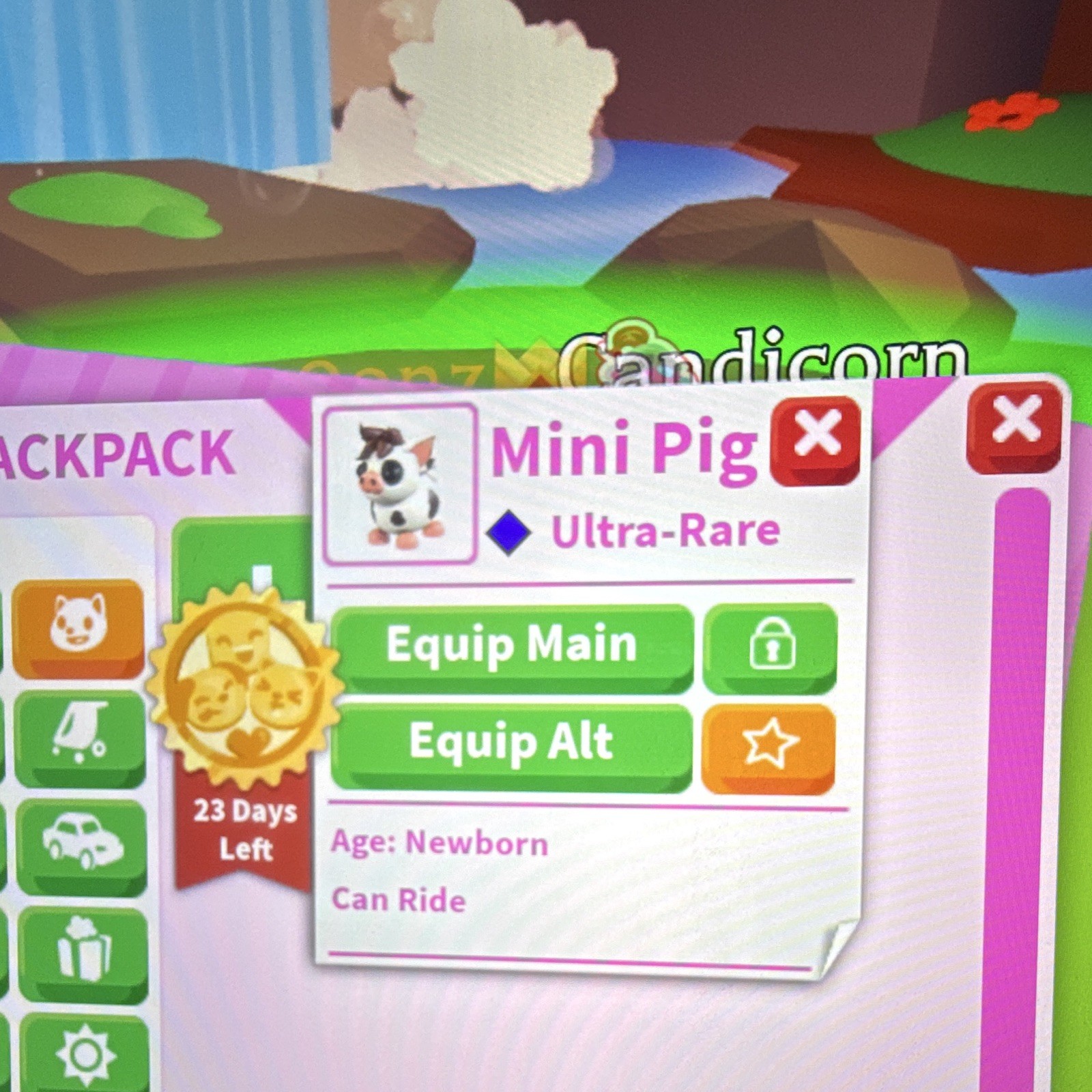 Adopt Me! Mini Pig Ultra-Rare Newborn Rideable Virtual In-Game Pet