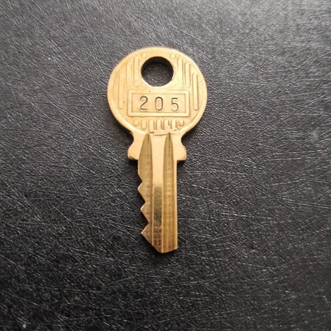 LOUIS VUITTON Cadena Key No.205 Single Key Only Gold Tone Metal Used