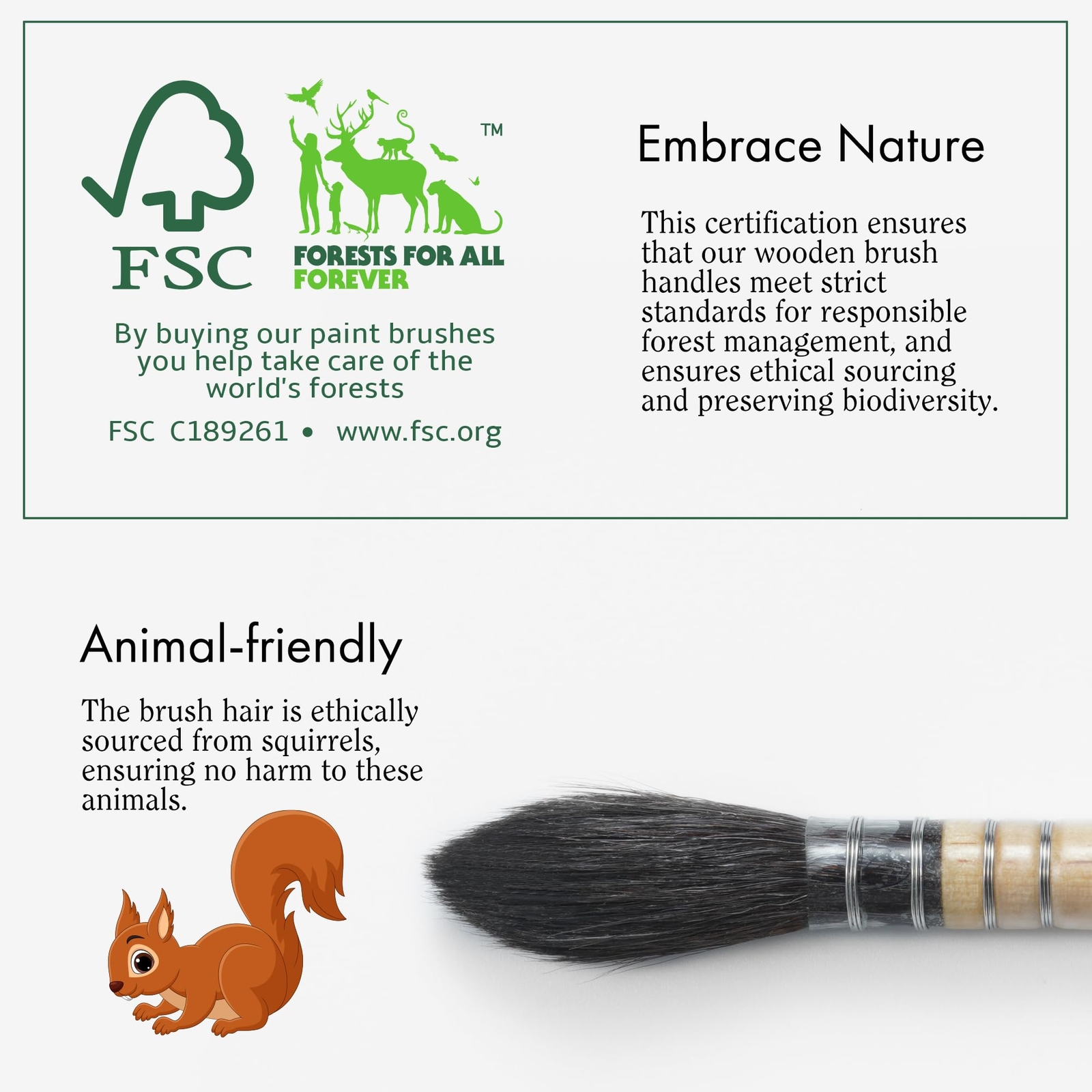 ARTIFY Professional Natural Squirrel Hair Quill Watercolor Brushes | Mop Roun...
