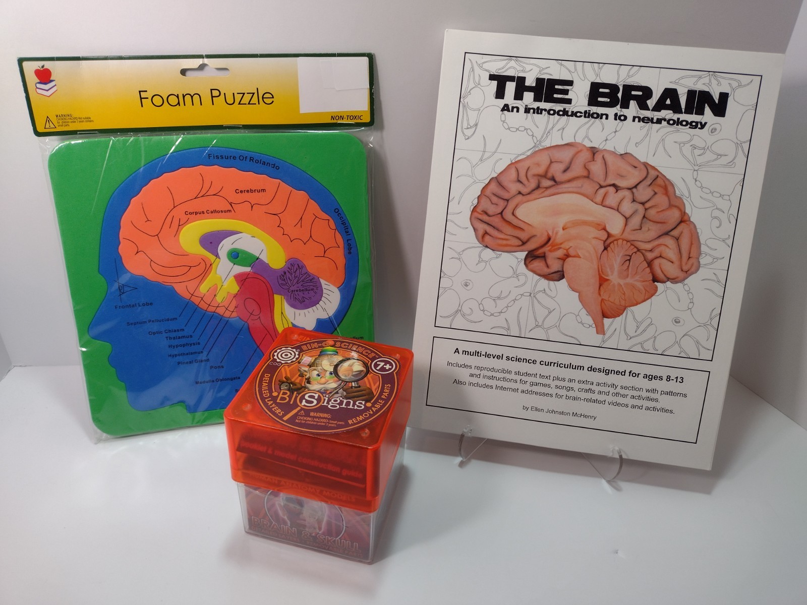 STEM Science Curriculum Neurology The Brain Ages 8-13 Homeschool LOT Complete