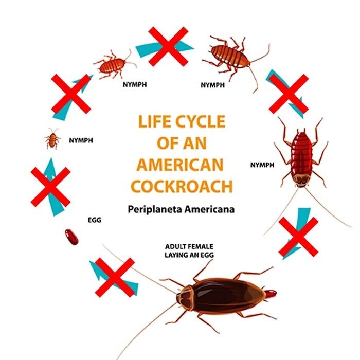 Gentrol Point Source Insect Growth Regulator Roach Control - SAME DAY SHIPPING