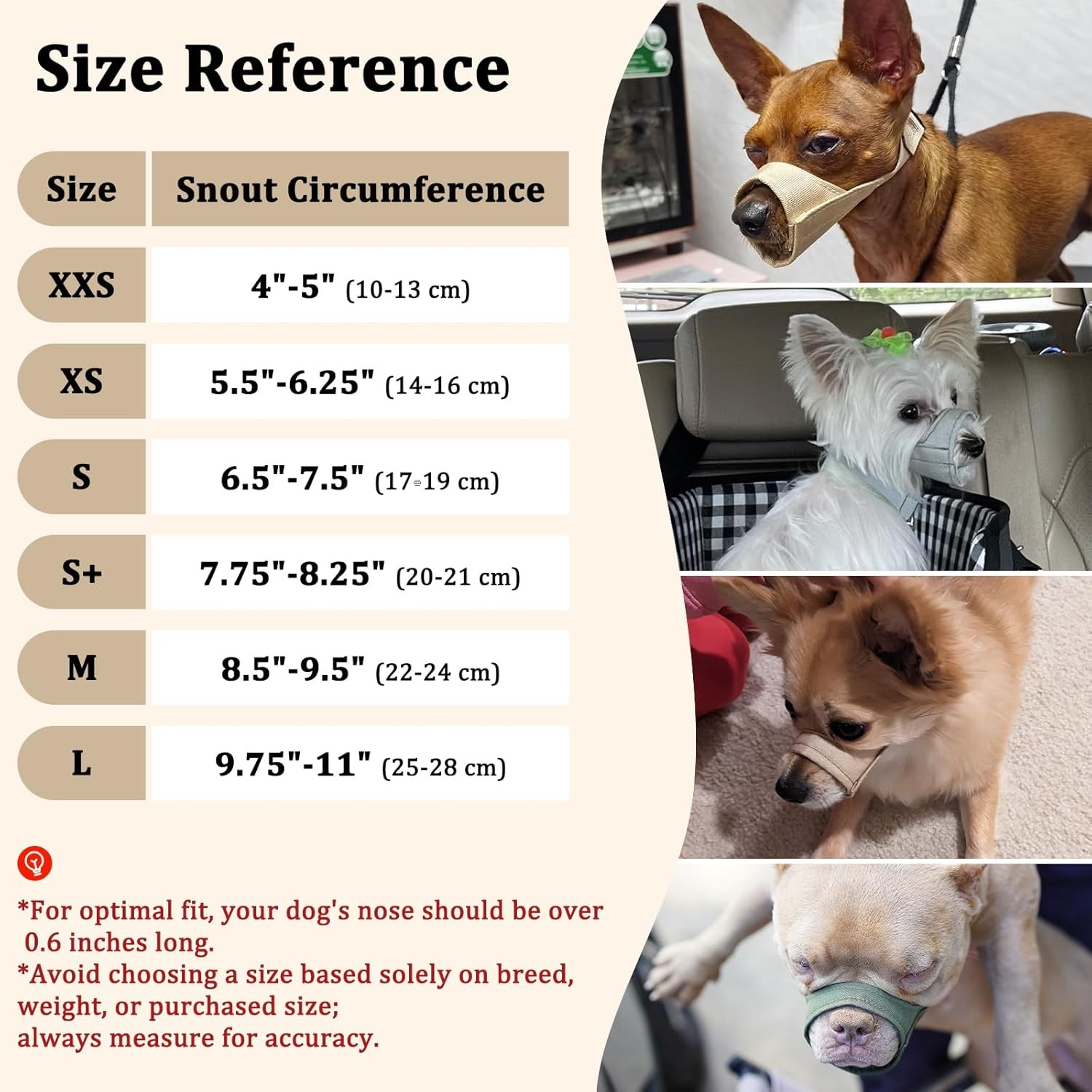 Short Snout Dog Muzzle Small Muzzle Chihuahua Shih Tzu American Bully Boxer