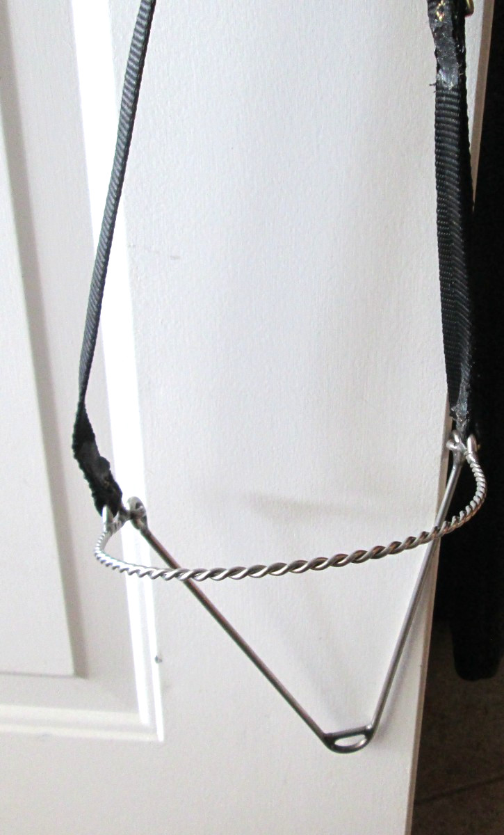 ARABIAN TWISTED WIRE NOSE BAND, TIE DOWN NYLON
