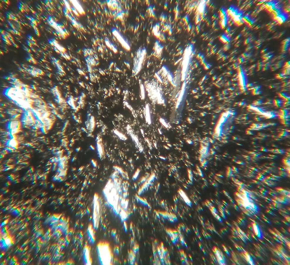 Thin-section Mount from DSDP Hole 214 Petrographic Microscope Slide 22-214-44-1