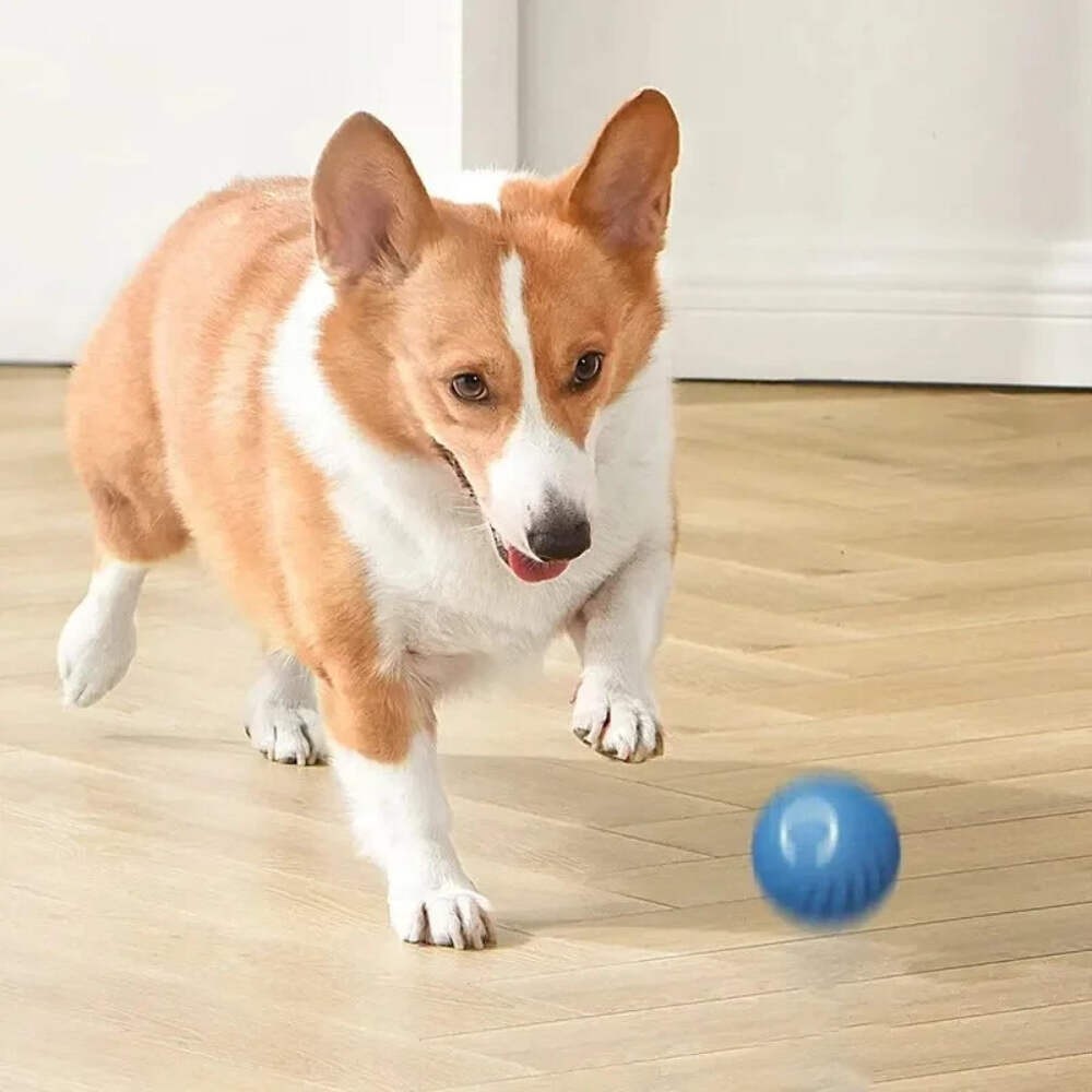 Smart Moving Ball Toy | USB Charge Automatic Moving Bouncing Ball