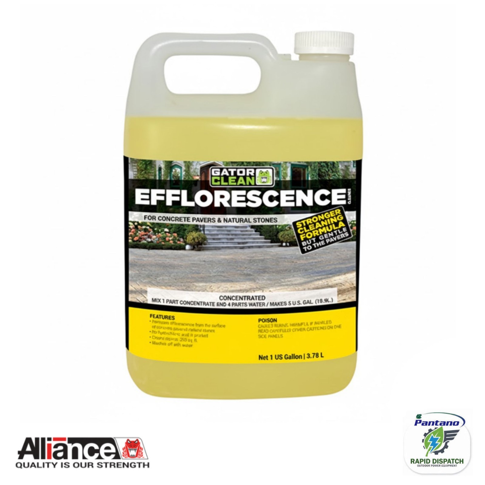 Gator Efflorescence Cleaner for Concrete Pavers & Natural Stone | Alliance 1 Gal