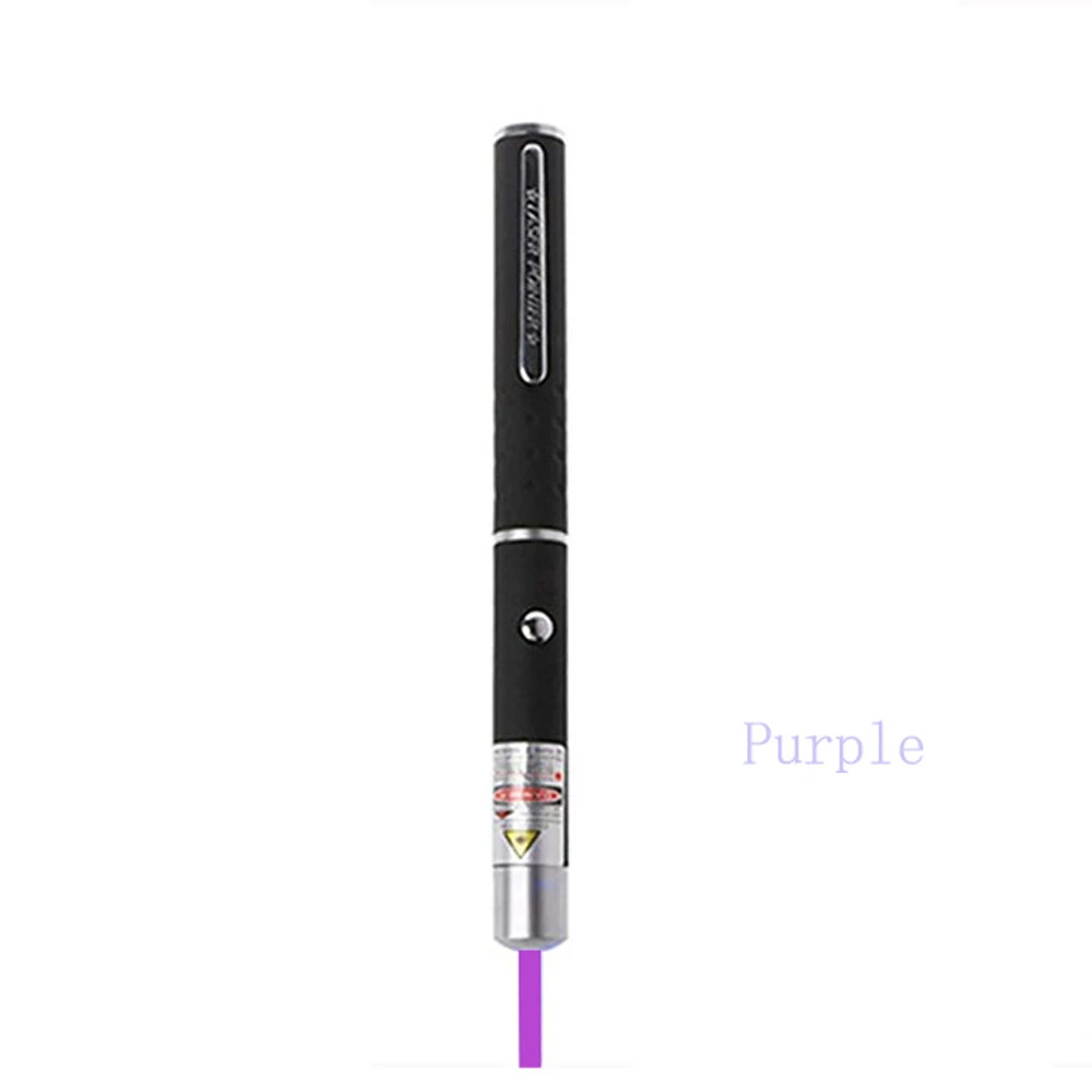2-in-1 Cat Laser Pointer LED Keychain Pet Training Toy US