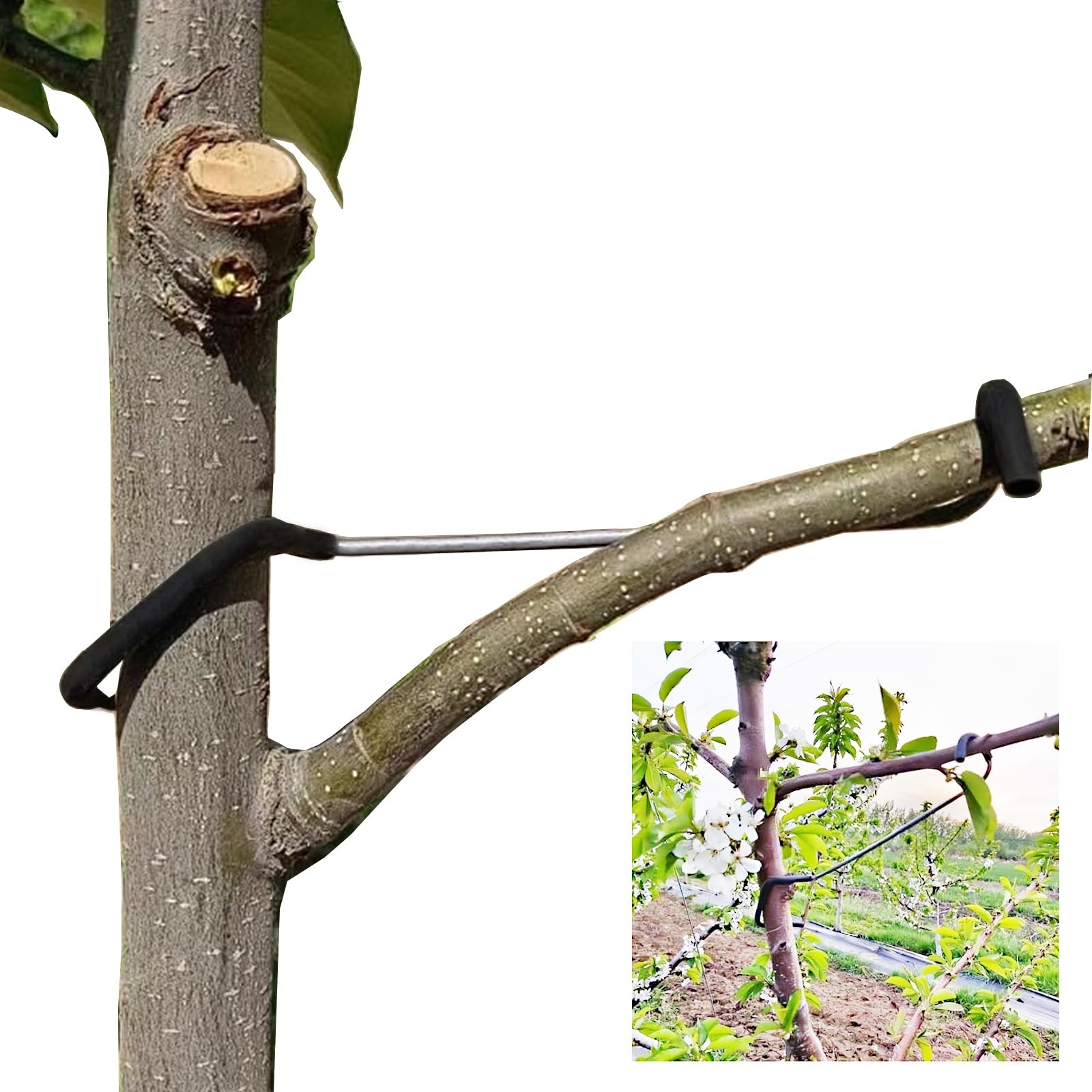 20PCS Fruit Tree Limb Spreaders Durable Support for New Branches 7 inches