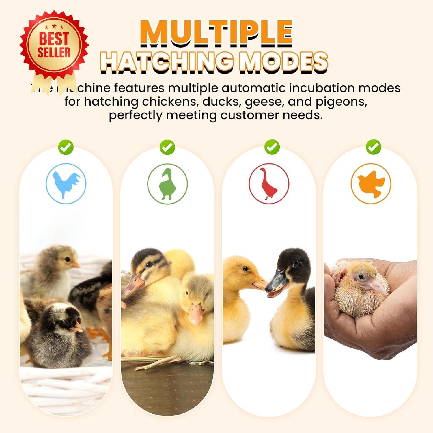 Automatic Brooder 24 Eggs Incubator Fully For Chicken Duck Quail Pigeon Hatchery