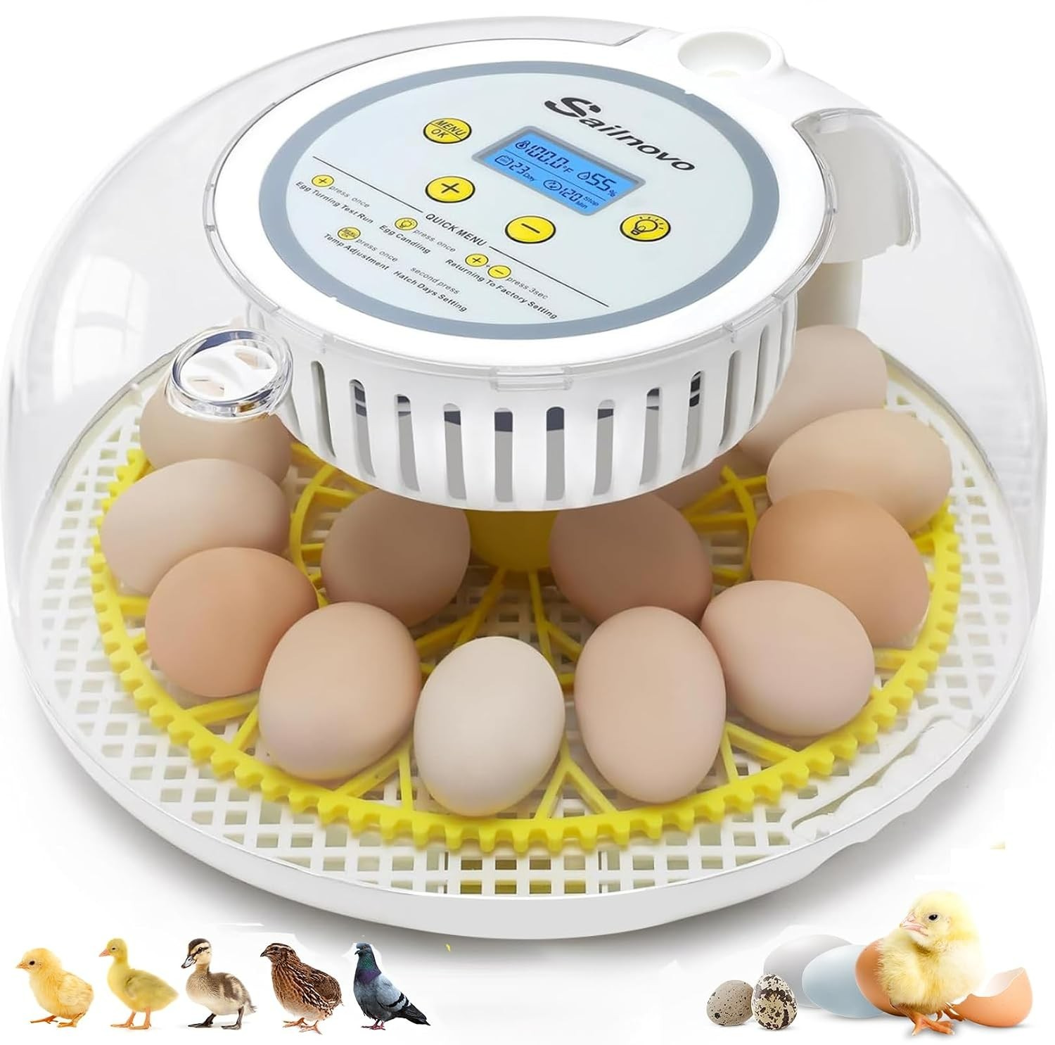 All-in-One 18 Egg Incubator: Clear View, Temperature Stability, and Easy Setup