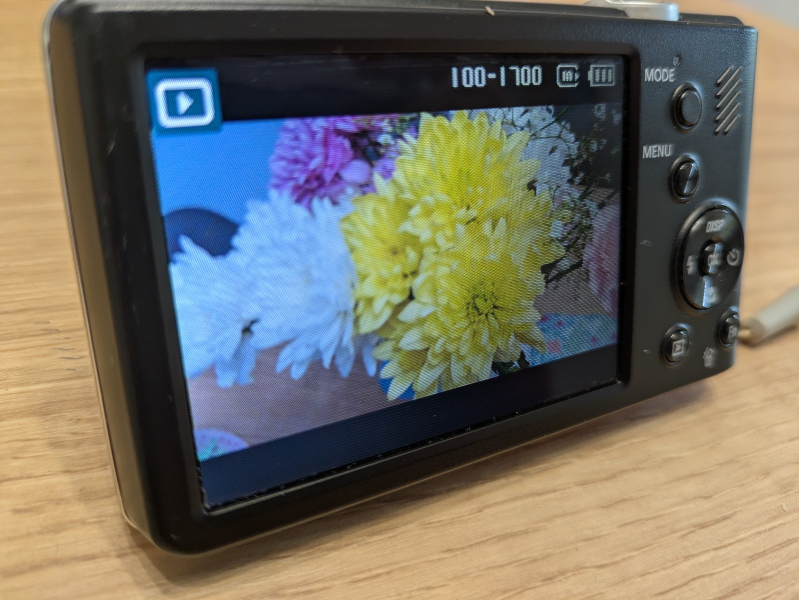Samsung Digital Camera PL221 16.0MP Red Tested - Boxed with Charging Cable, Case