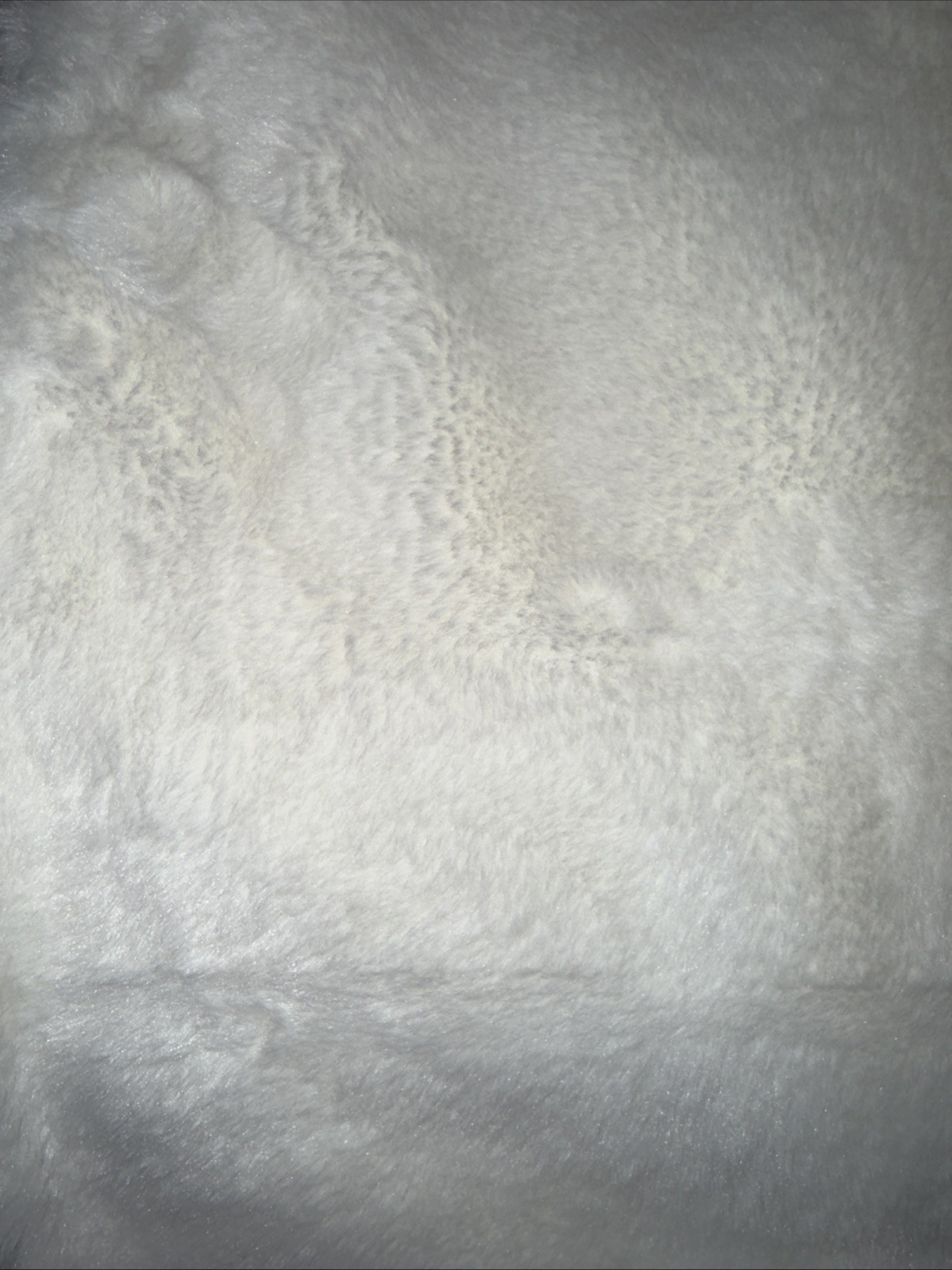 Daniel De Cassone Studio White Plush Blanket 46”x71”