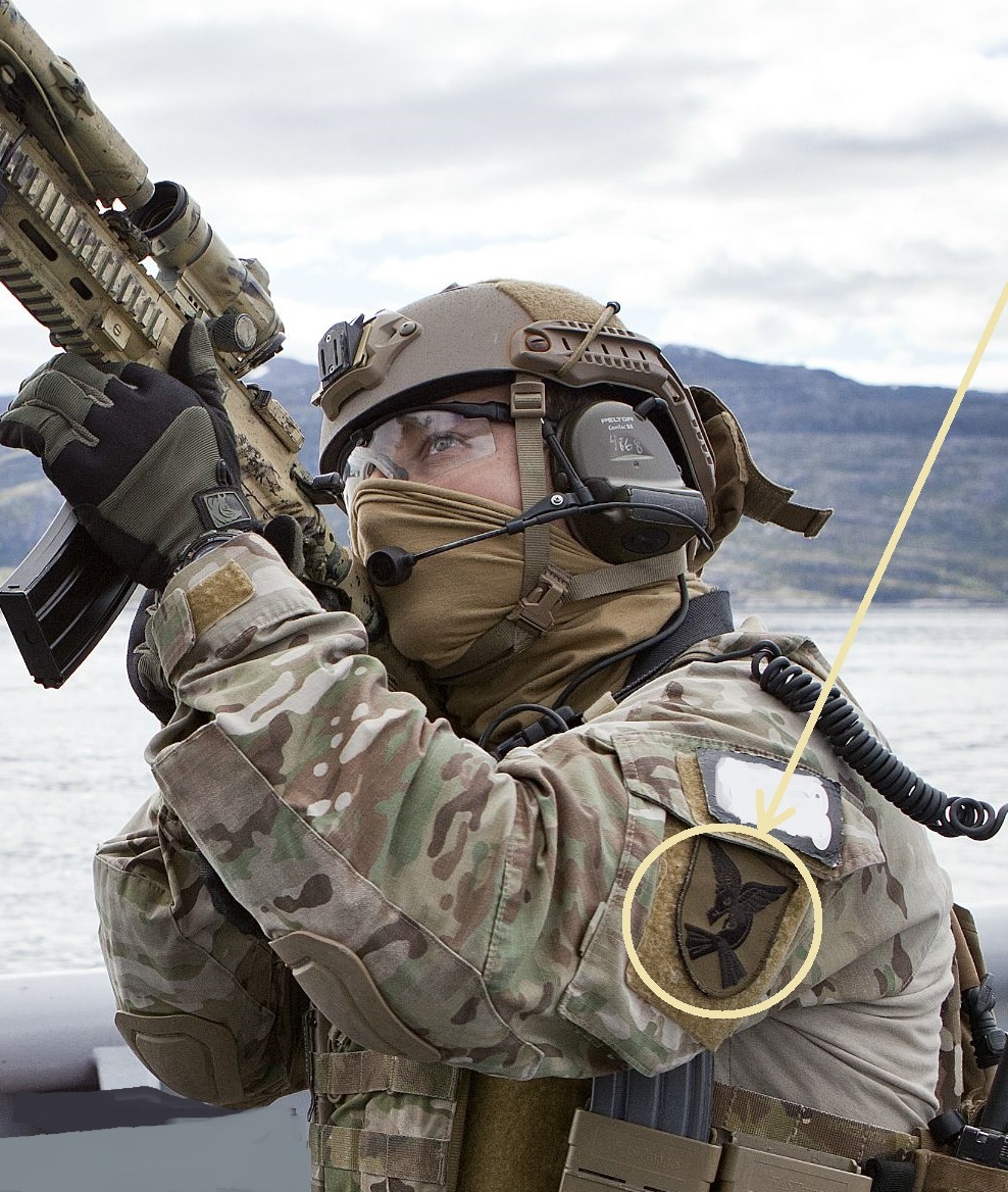 Nordic Spesialstyrkene Norway Combat Diver MJK Marinejegerkommandoen vêlkrö SSI