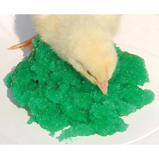 2000 Doses Grogel Plus B - Baby Chick Hydration and Nutrients for Shipping!