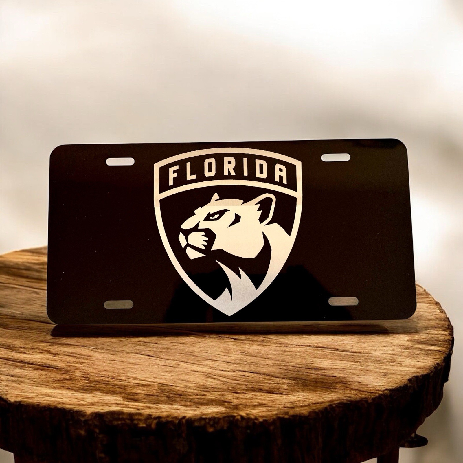 Florida Panthers Metal Tag License Plate Novelty 6x12 Inch