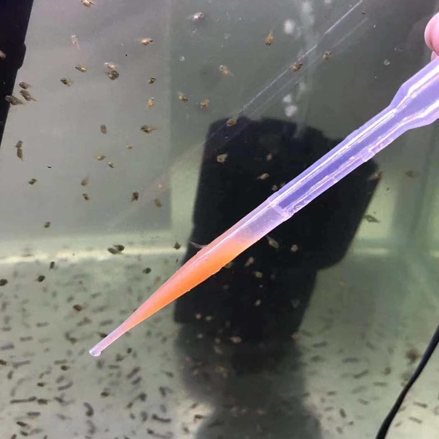 10 Pieces Brine Shrimp Feeder Tube 5ml Aquarium Test Dropper Coral Feed for F...