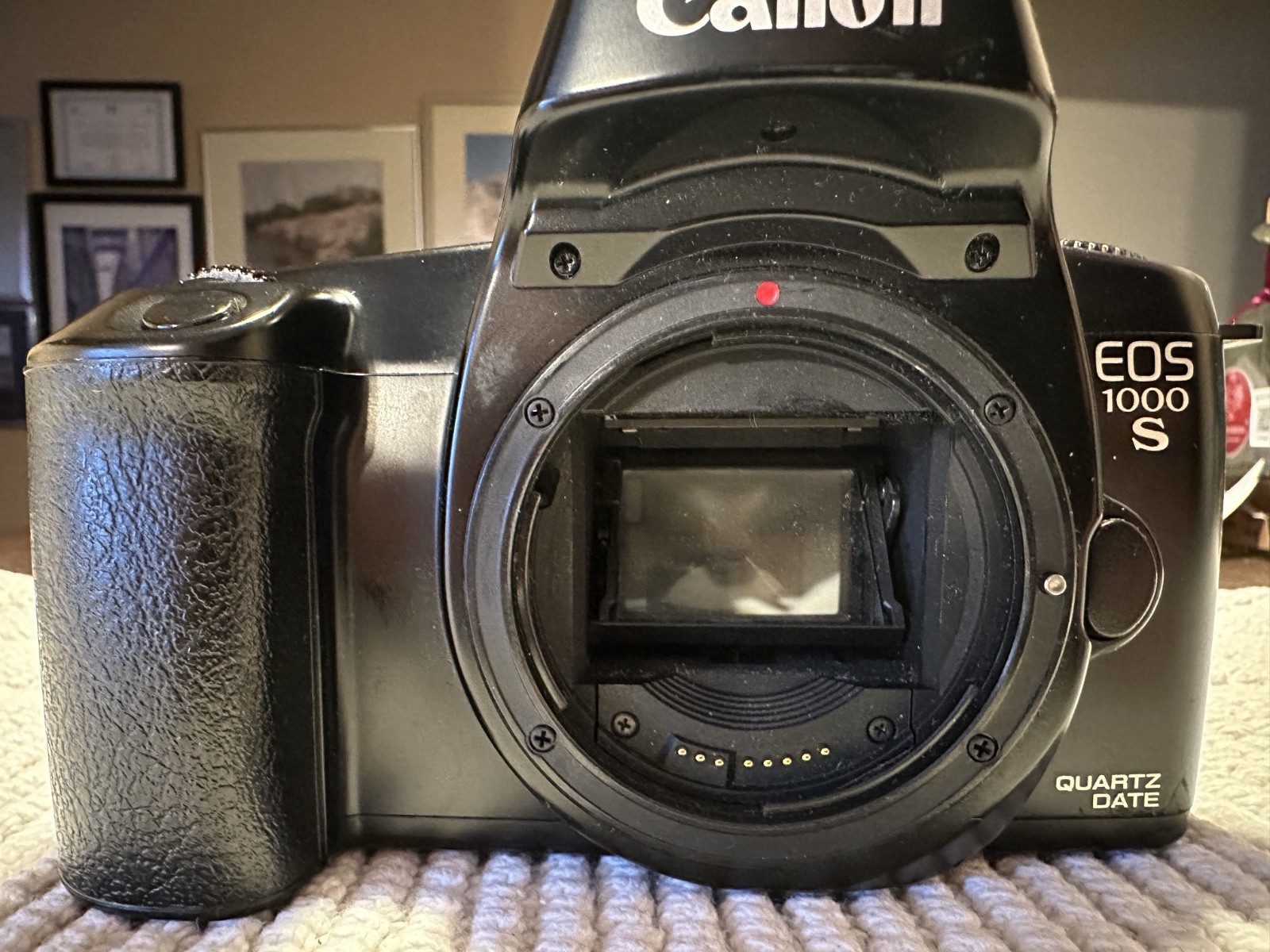 Canon EOS 1000S 35mm Film SLR Camera Body Quartz Date – Tested Working